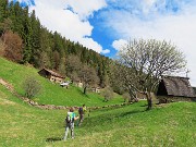 55 Alla ricerca di altri crocus mentre saliamo alla Cappella Aannovazzi...